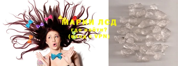 прущие грибы Краснослободск