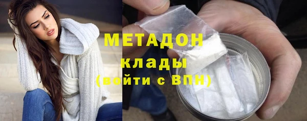 прущие грибы Краснослободск