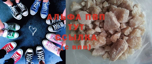 прущие грибы Краснослободск