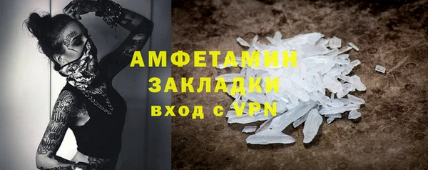 прущие грибы Краснослободск