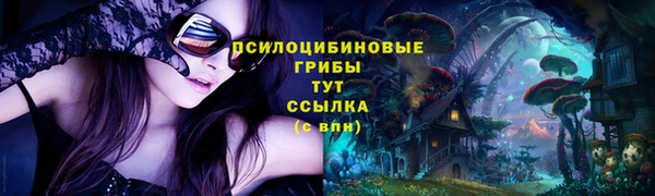 прущие грибы Краснослободск