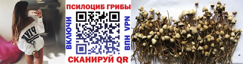 Псилоцибиновые грибы MAGIC MUSHROOMS  Купить закладки  Северобайкальск 